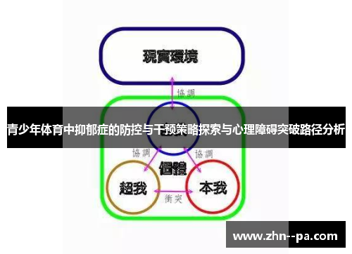 青少年体育中抑郁症的防控与干预策略探索与心理障碍突破路径分析