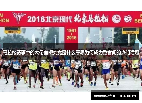 马拉松赛事中的大带鱼梗究竟是什么意思为何成为跑者间的热门话题